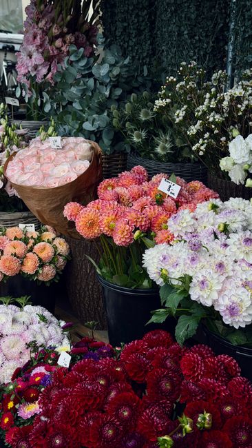 A vibrant display of fresh floral arrangements at a flower shop, featuring a variety of blooms in multiple colours. There are pale pink roses wrapped in brown paper, clusters of orange and pink dahlia